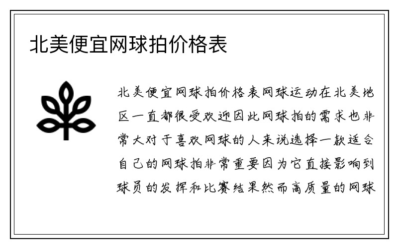 北美便宜网球拍价格表